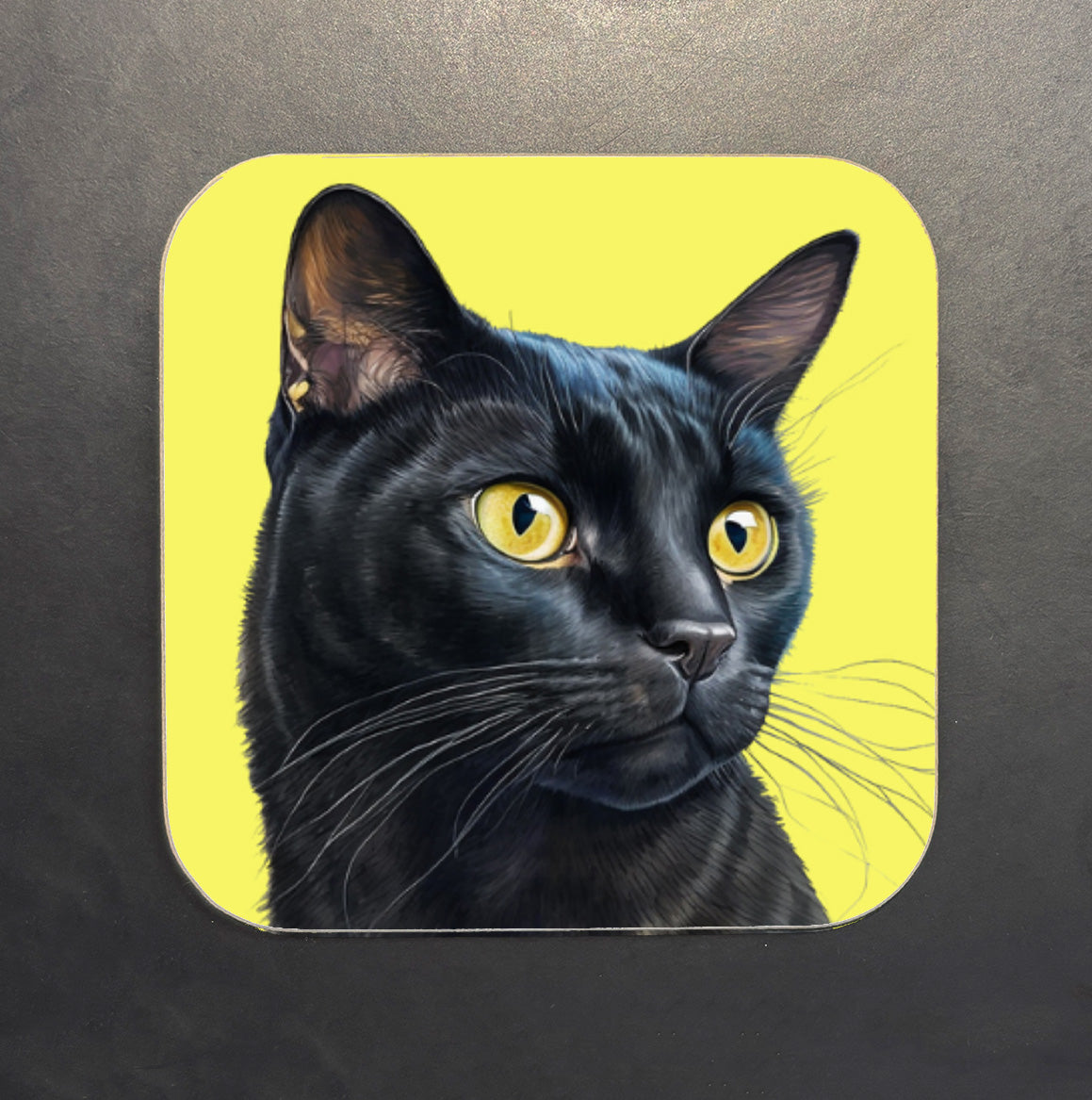 Black Cat Coaster