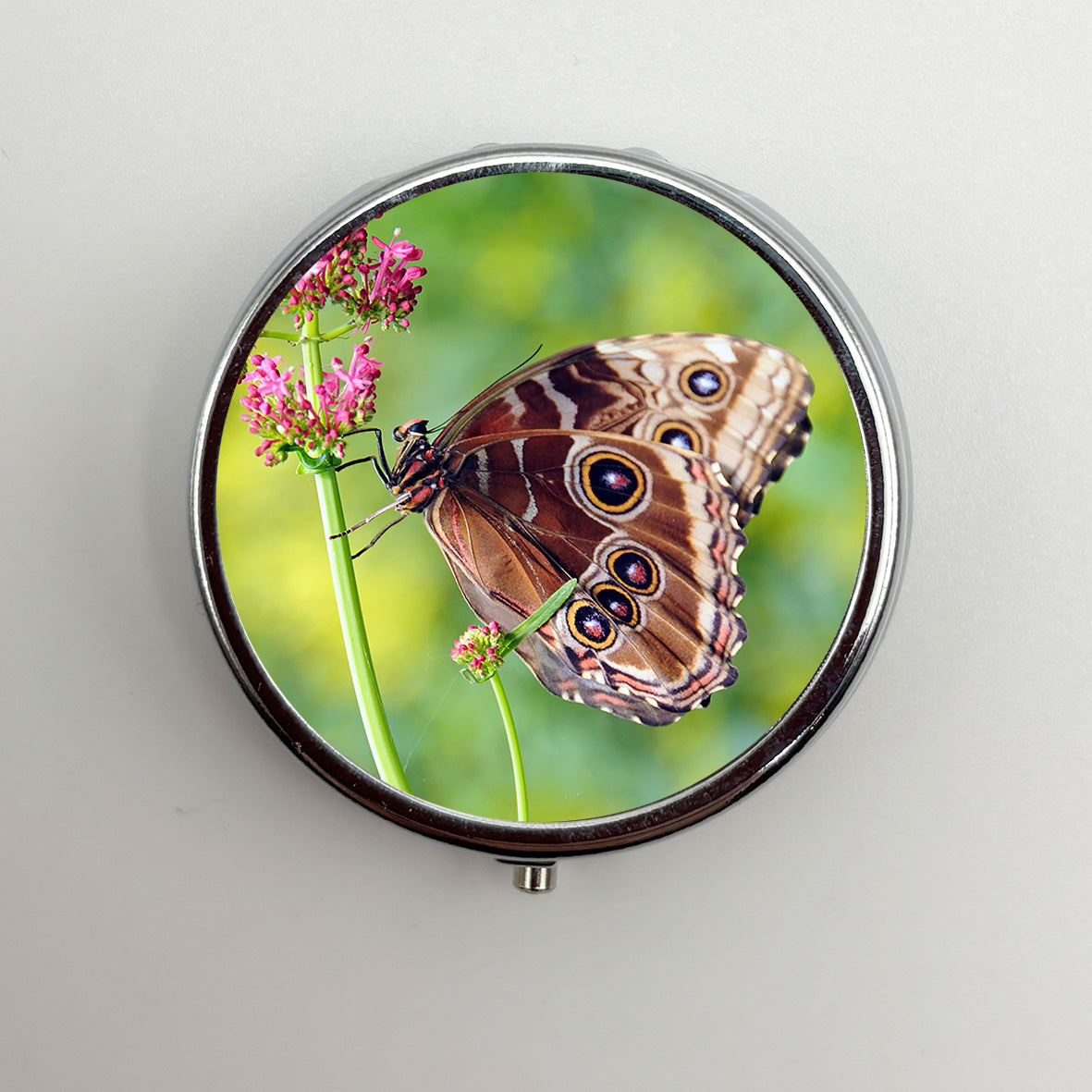 Blue Morpho Butterfly Pill Box