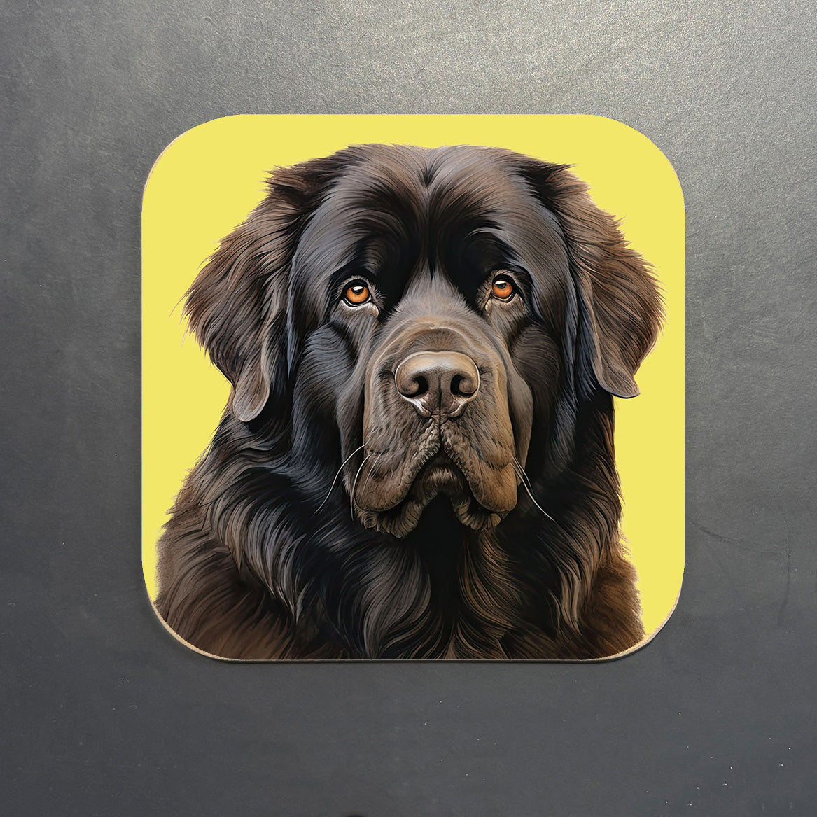 Newfoundland Coaster