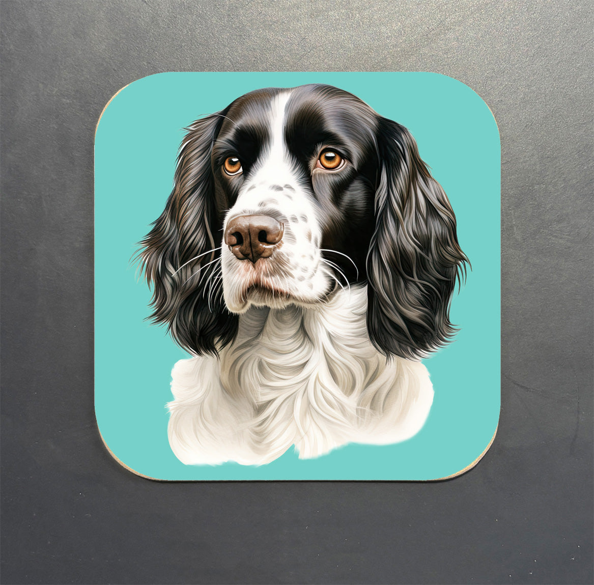Springer Spaniel Coaster