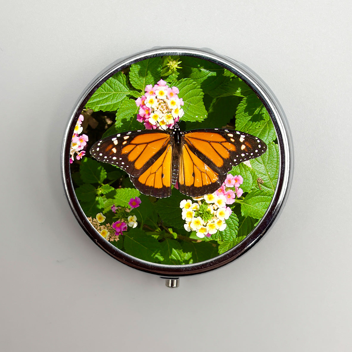 Monarch Butterfly Pill Box