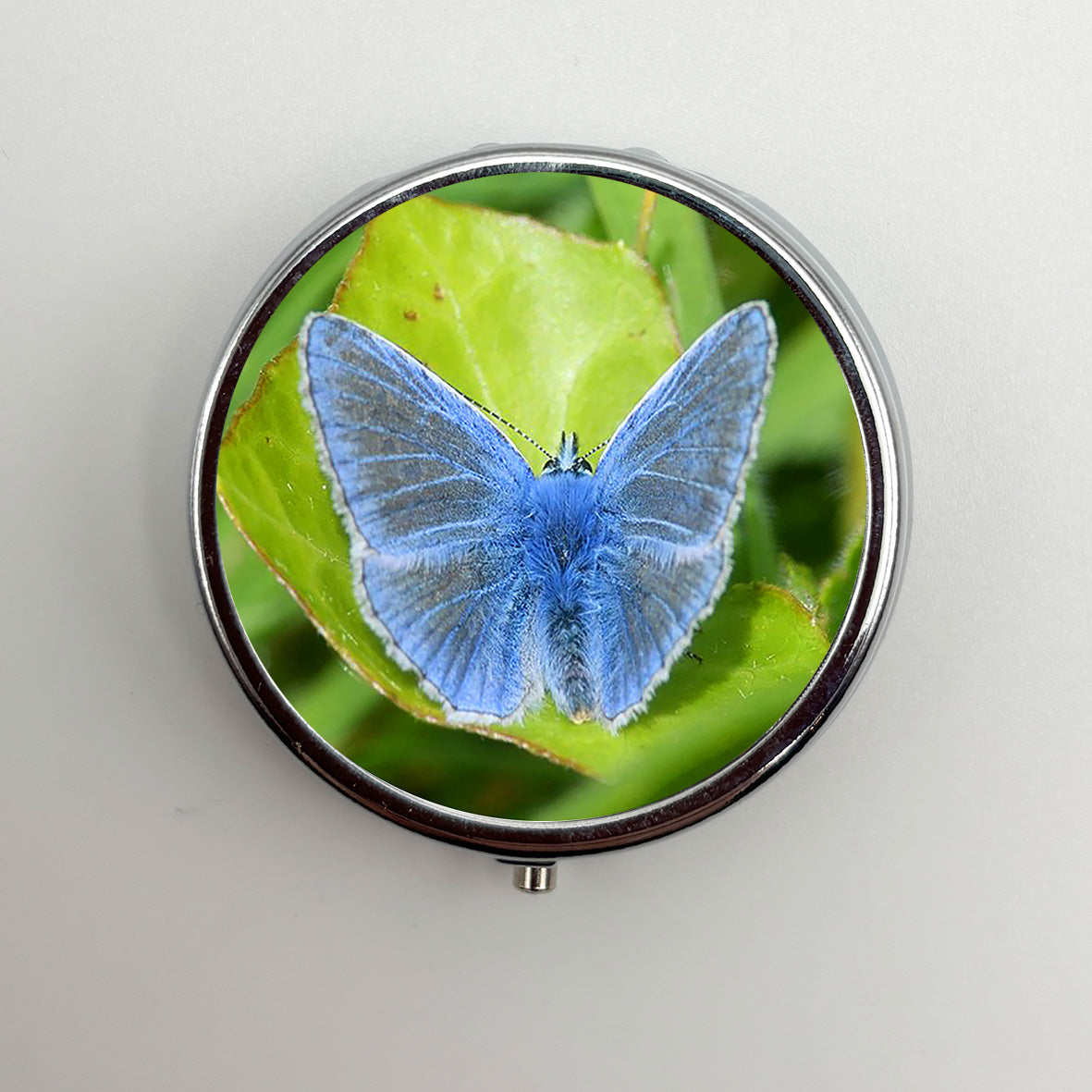 Holly Blue Butterfly Pill Box