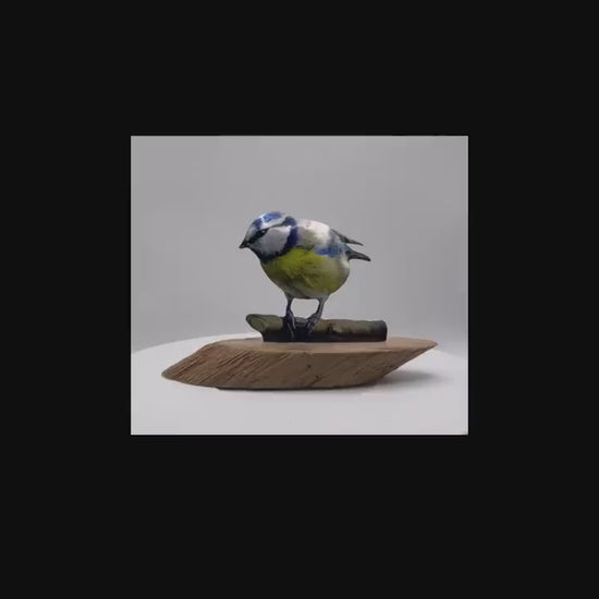Blue Tit - Blue Tit Sculpture - Bird Sculpture - Metal Bird - Bird Ornament - UK Birds