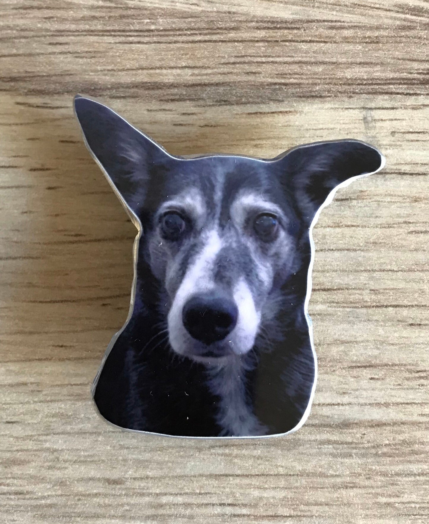 Custom dog brooch - custom dog badge - custom dog pin - dog pet brooch - personalised dog brooch - dog photo brooch