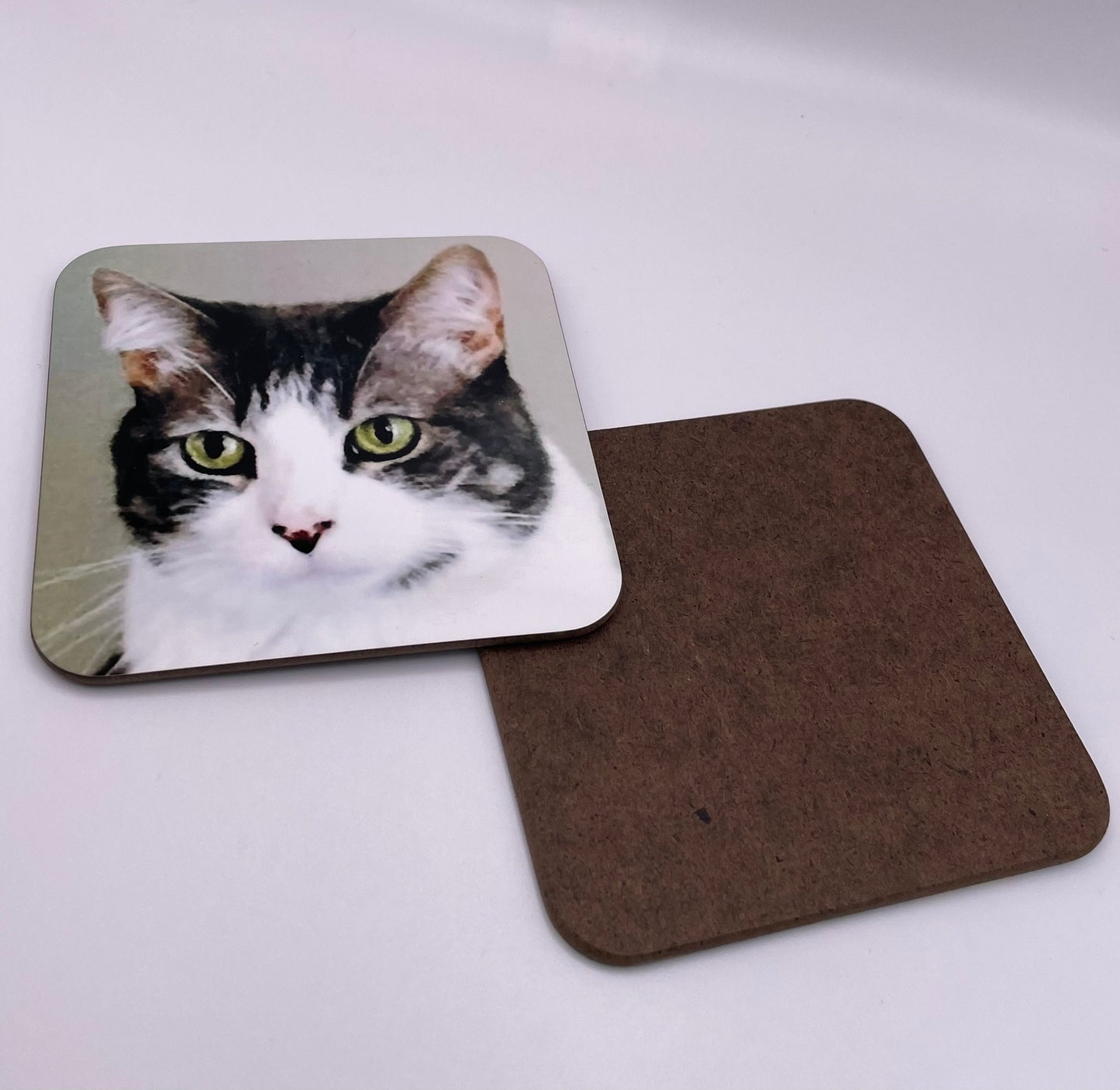 Dog coaster - Custom coasters - cat coaster - photo coaster - personalised coaster - dog photo - family photo- dog lover gift - doodle
