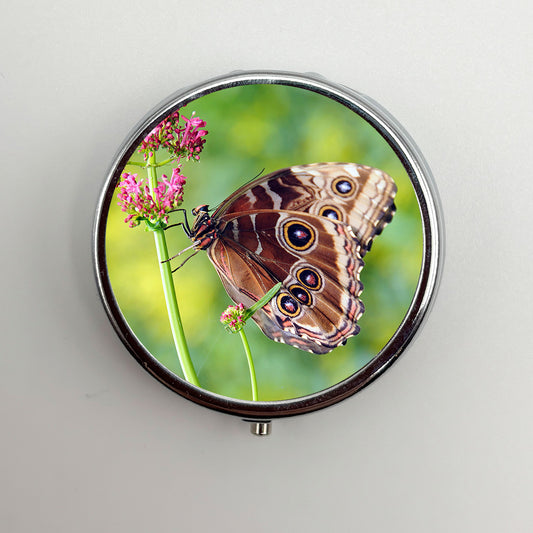 Blue Morpho Butterfly Pill Box