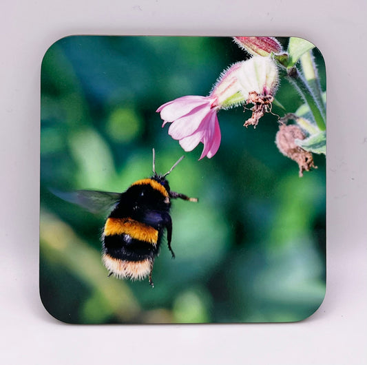 Bumble Bee Coaster