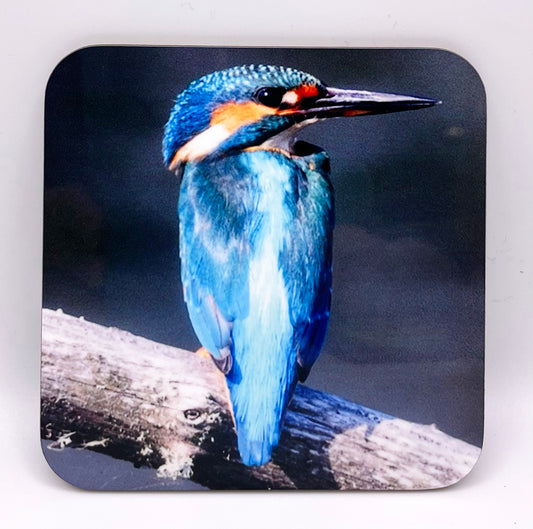 Kingfisher Coaster