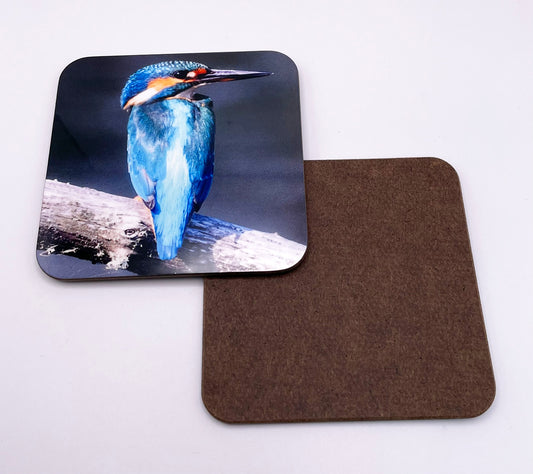 Kingfisher Coaster