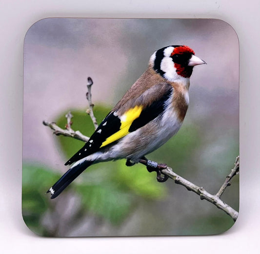 Goldfinch Coaster
