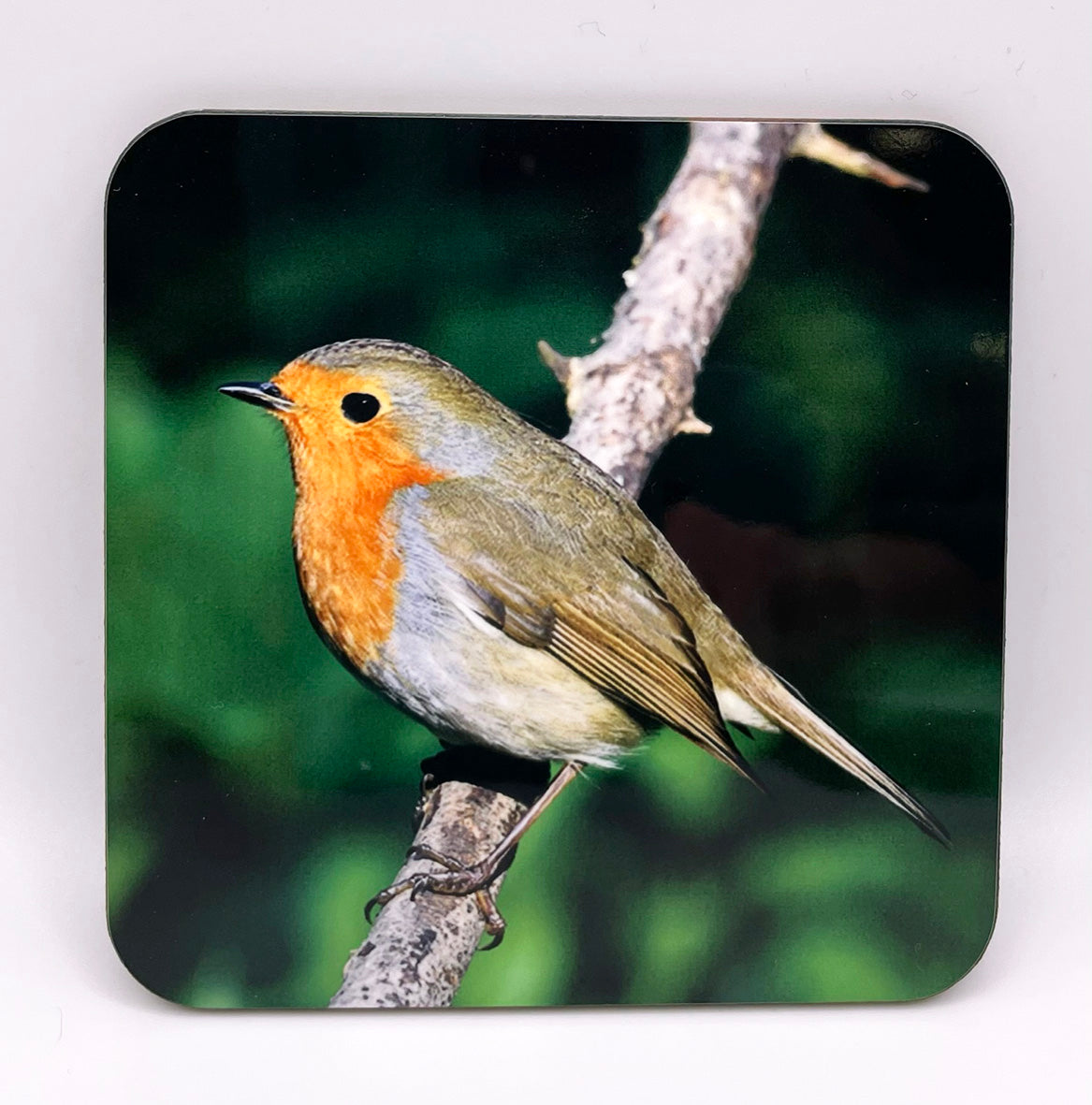 Robin Coaster