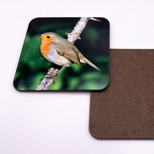 Robin Coaster