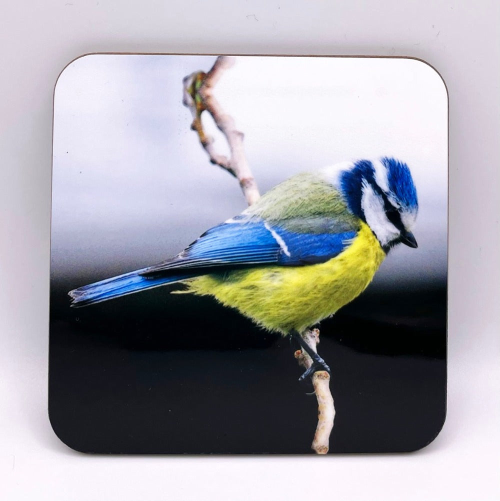 Blue Tit Coaster