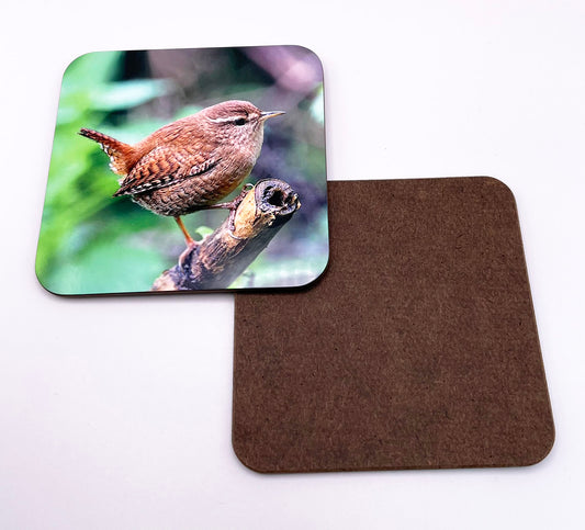 Wren Coaster