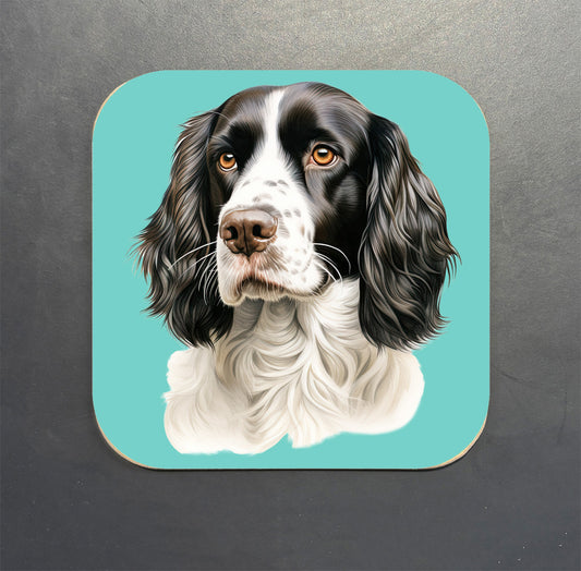 Springer Spaniel Coaster