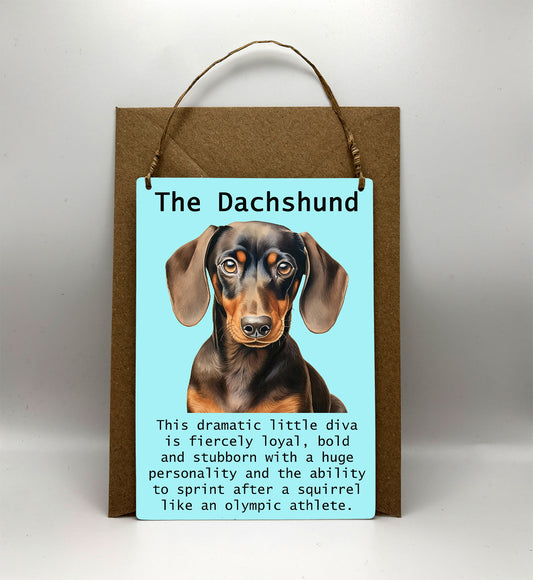 Dachshund Metal Greetings Card