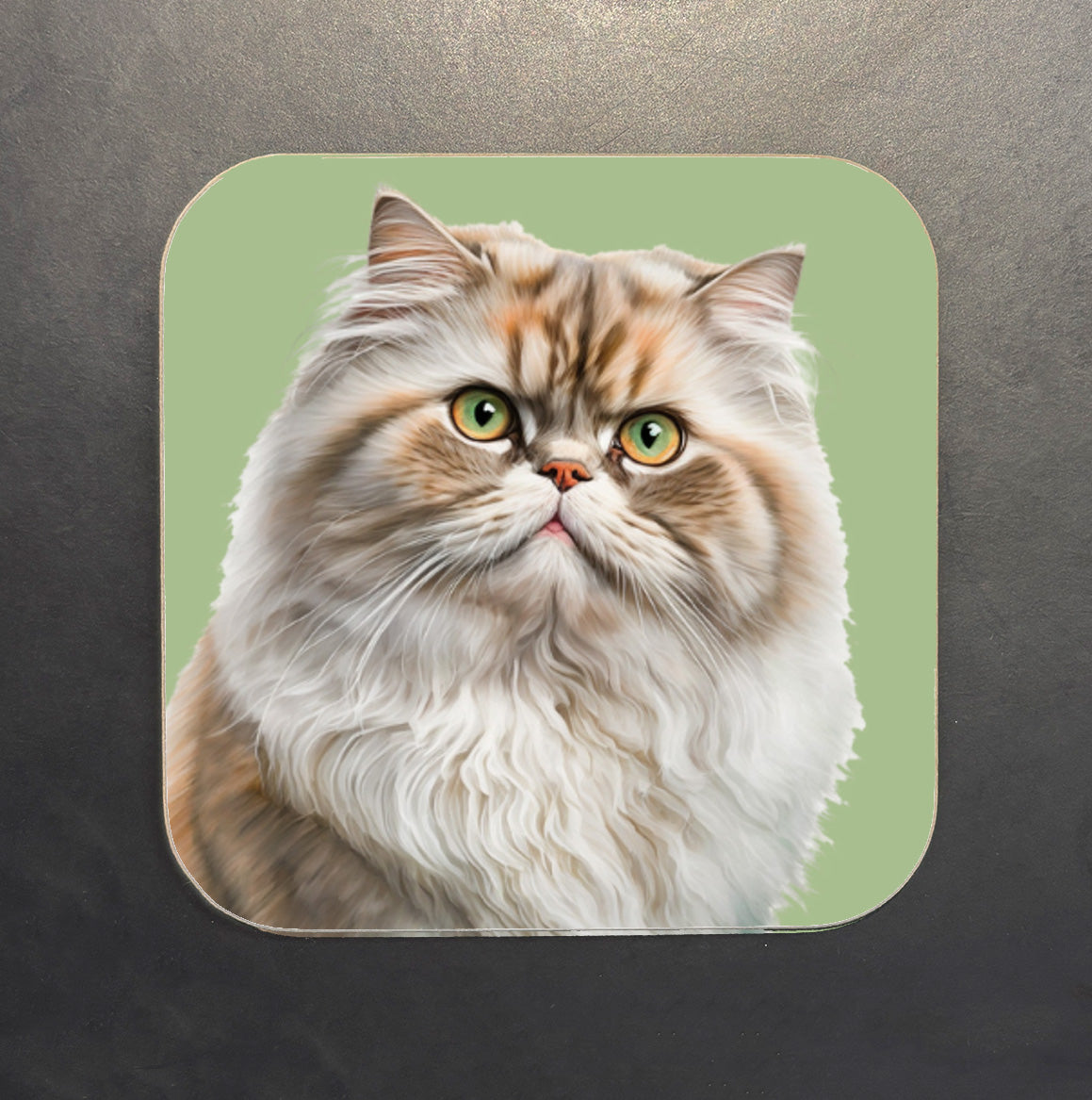 Fluffy Flat Faced Cat Coaster