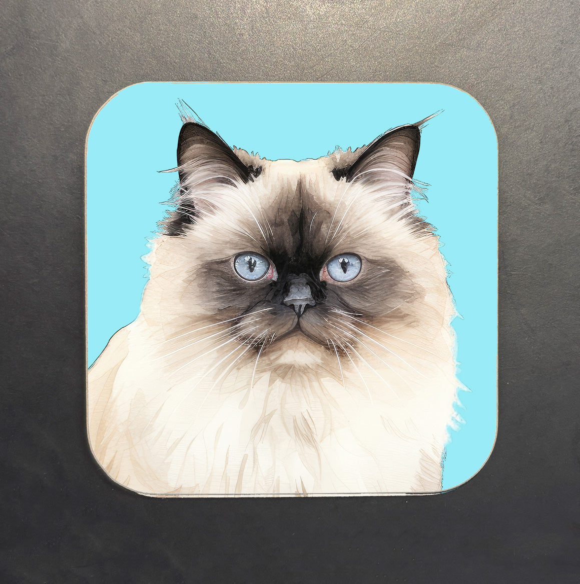 Fluffy Siamese Cat Coaster