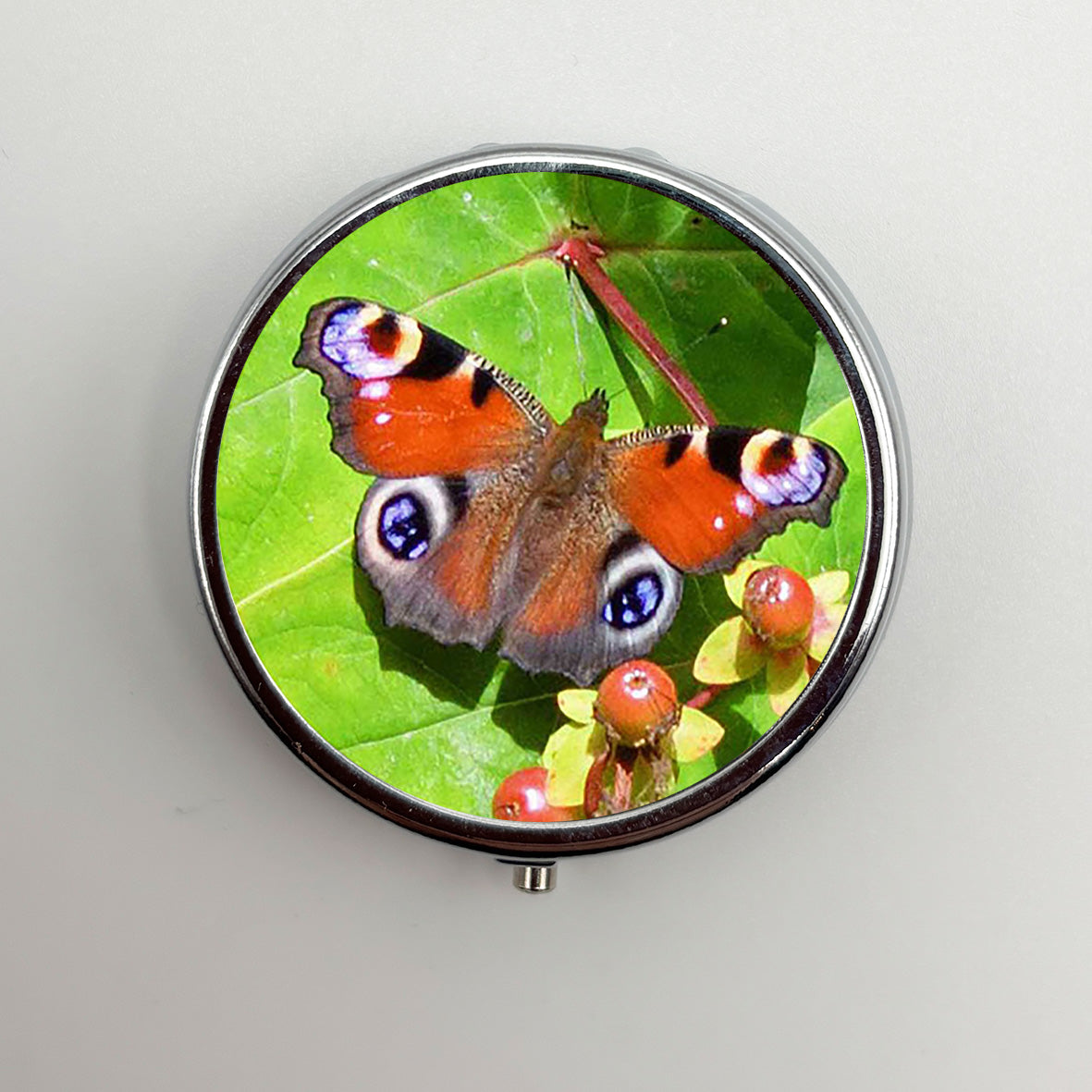 Peacock Butterfly Pill Box