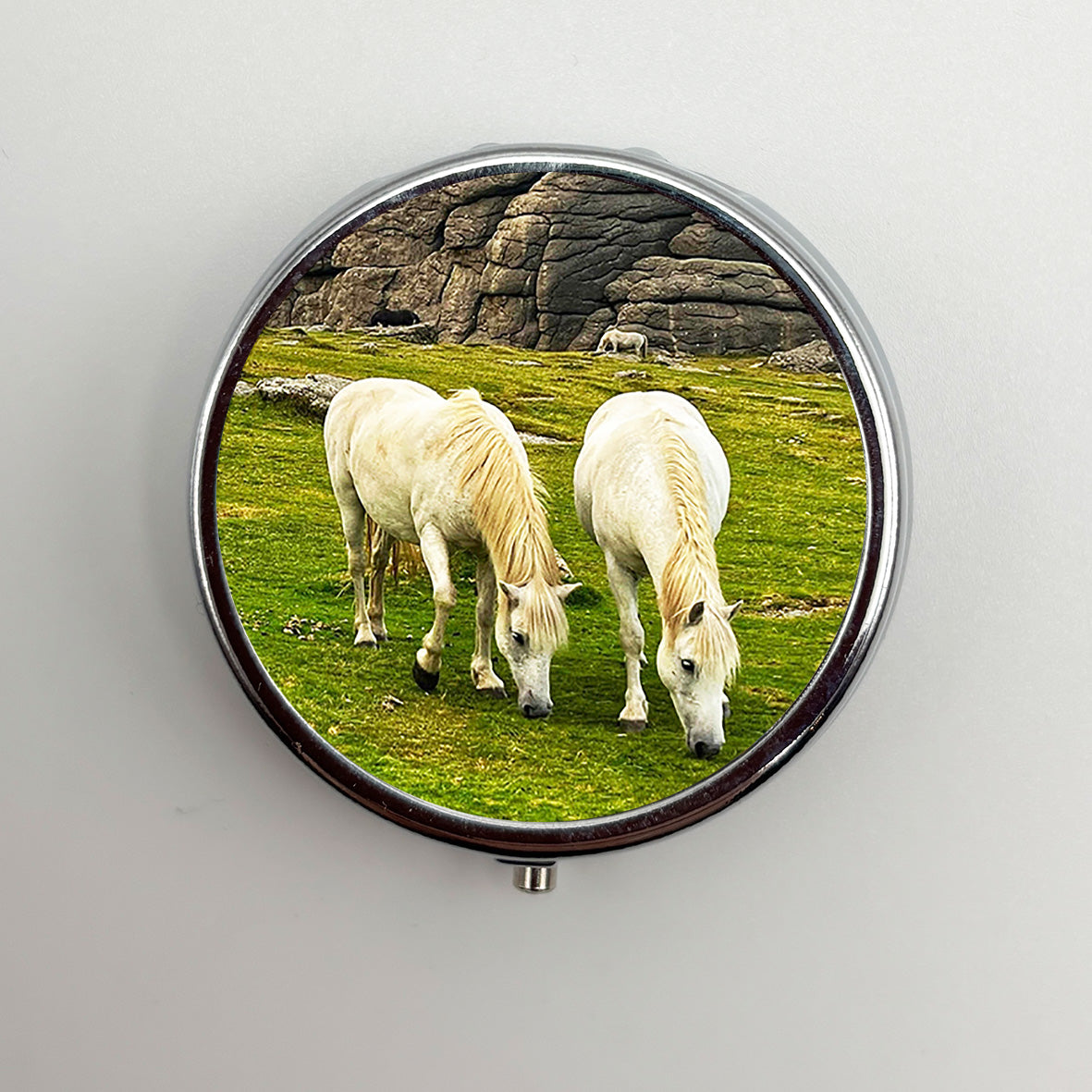 Dartmoor Pony Pill Box