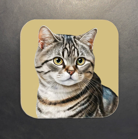 Tabby Cat Coaster
