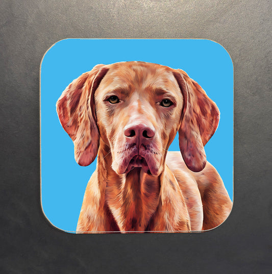 Vizsla Coaster