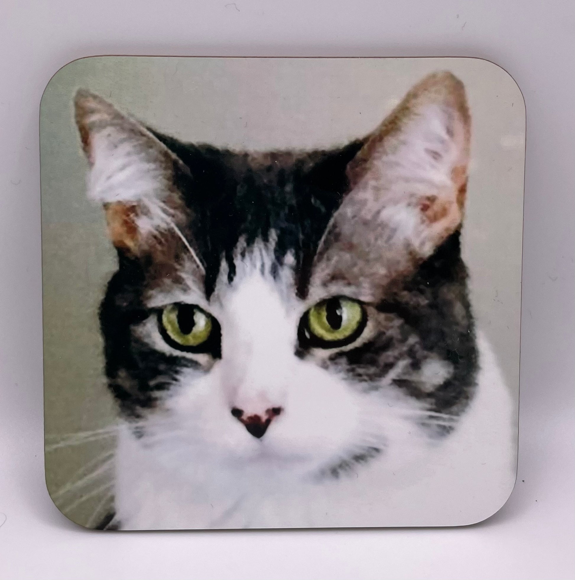 Cat coasters showing a custom photo of a grey and white cat face