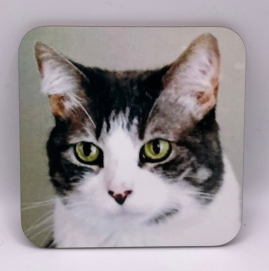 Cat coasters showing a custom photo of a grey and white cat face